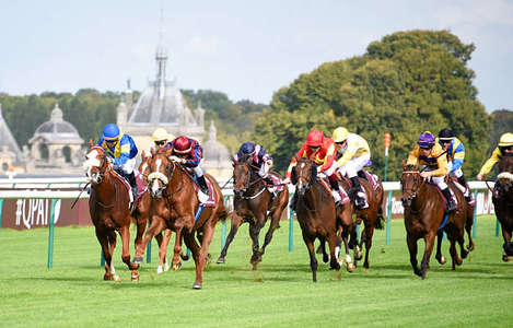 Actualités Hippiques